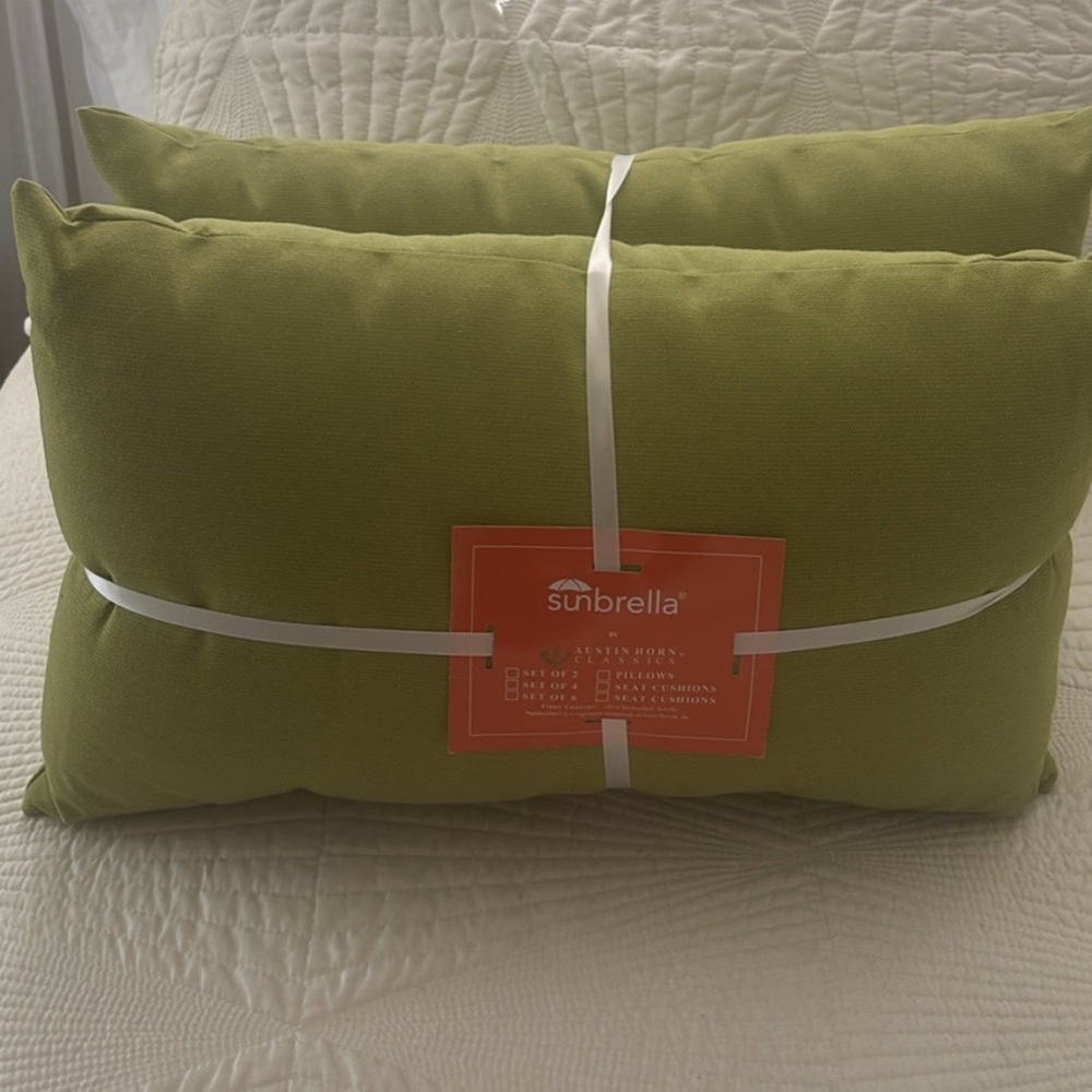 Sunbrella Austin Horn Olive Green Decorative Throw Pillows - Set of 2